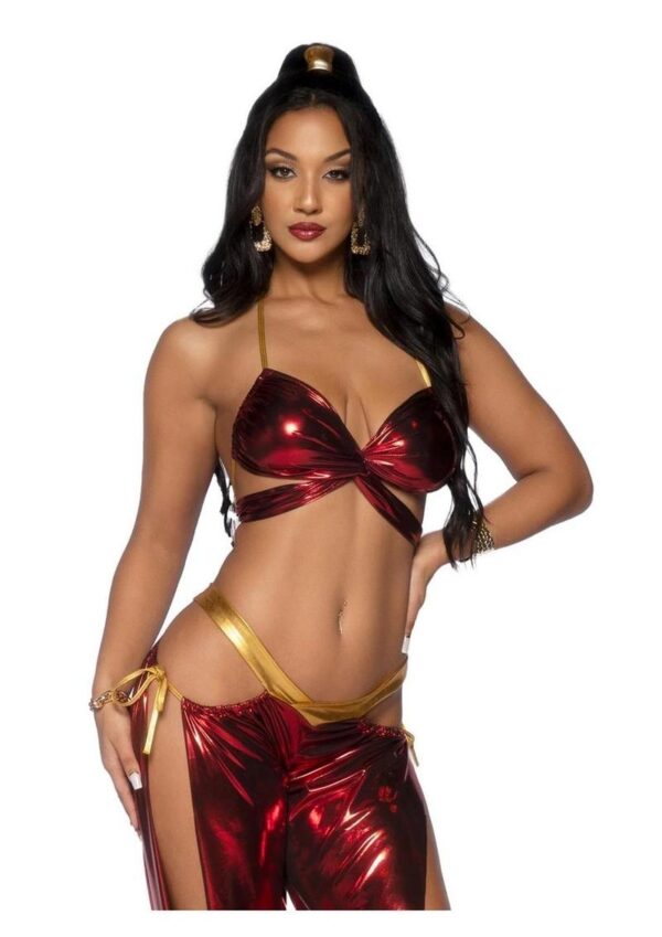 Leg Avenue Ruby Desert Princess Lame Bikini Top and Split Leg Cut-Out Harem Pants with Side Ties (2 Piece) - XSmall - Red