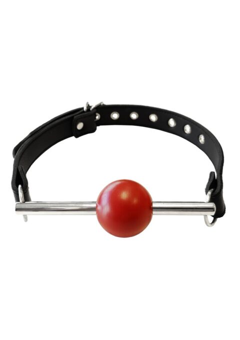Rouge Ball Gag with Removable Ball and Stainless Steel Rod Adjustable Strap - Black and Red