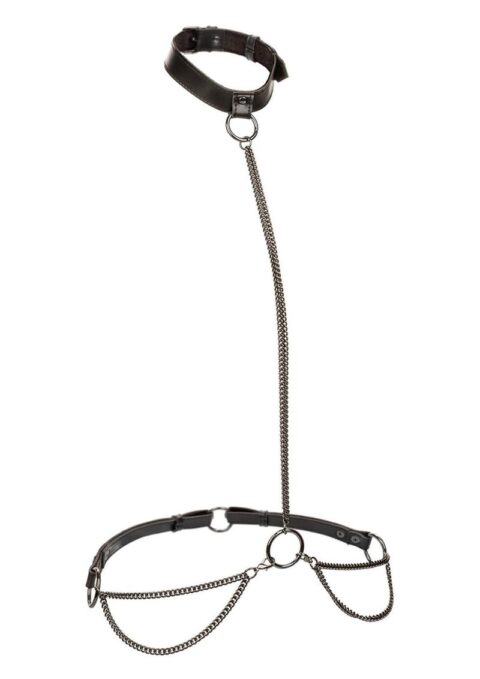 Euphoria Collection Chain Halter/Collar and Leash - Plus Size - Black